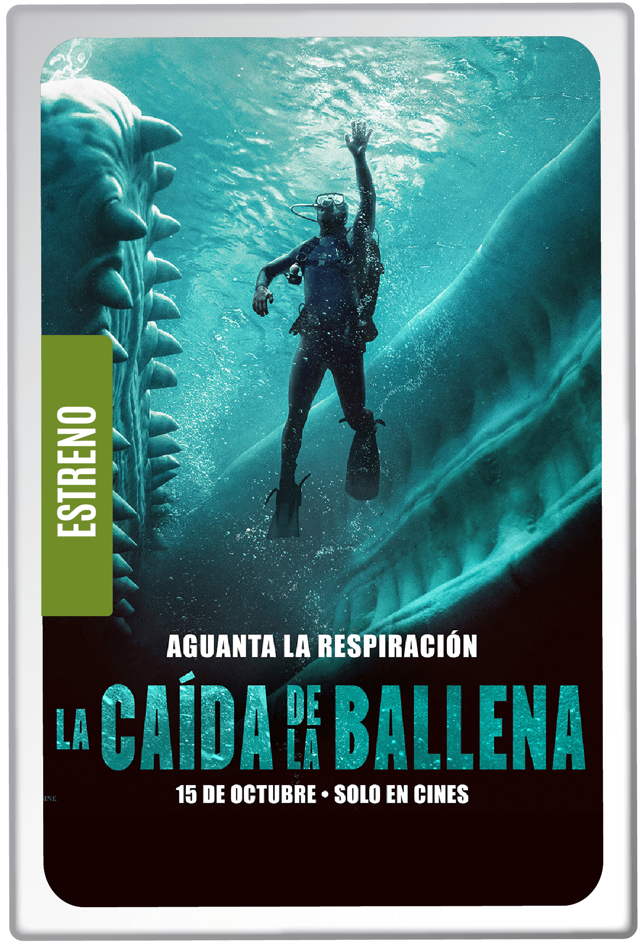 Poster de La Caída De La Ballena
